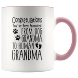 Promoted from Dog Grandma to Human Grandma 11 oz Accent Coffee Mug