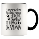 Promoted from Dog Grandma to Human Grandma 11 oz Accent Coffee Mug