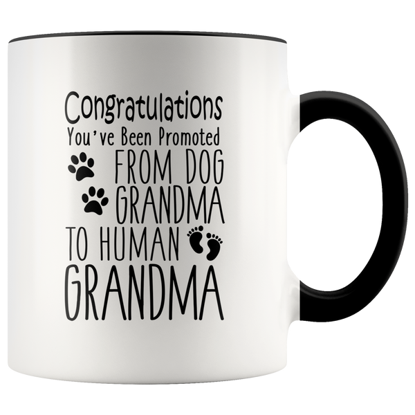 Promoted from Dog Grandma to Human Grandma 11 oz Accent Coffee Mug