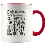 Promoted from Dog Grandma to Human Grandma 11 oz Accent Coffee Mug