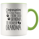 Promoted from Dog Grandma to Human Grandma 11 oz Accent Coffee Mug