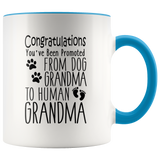 Promoted from Dog Grandma to Human Grandma 11 oz Accent Coffee Mug