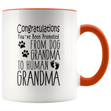 Promoted from Dog Grandma to Human Grandma 11 oz Accent Coffee Mug