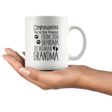 Promoted from Dog Grandma to Human Grandma 11 oz Coffee Mug