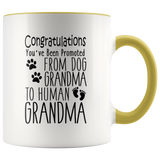 Promoted from Dog Grandma to Human Grandma 11 oz Accent Coffee Mug