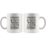 Promoted from Dog Grandma to Human Grandma 11 oz Coffee Mug